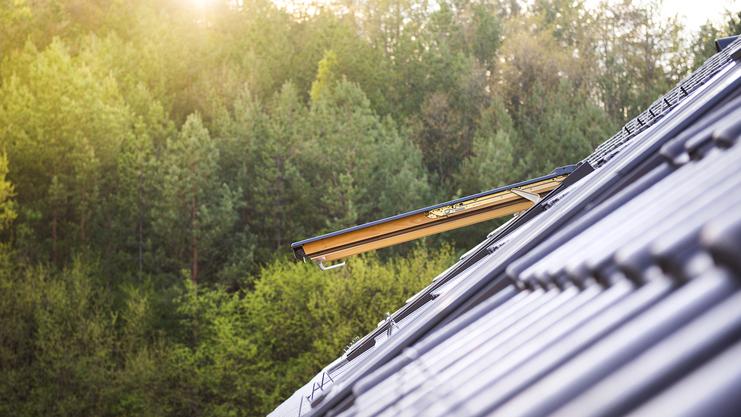 Dachfenster auf einem Gebäude mit photovoltaischen Modulen, im Hintergrund ein Wald in sanftem Licht.
